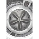 Whirlpool 惠而浦 VEMC95821 9.5公斤 800轉 頑漬淨葉輪式洗衣機